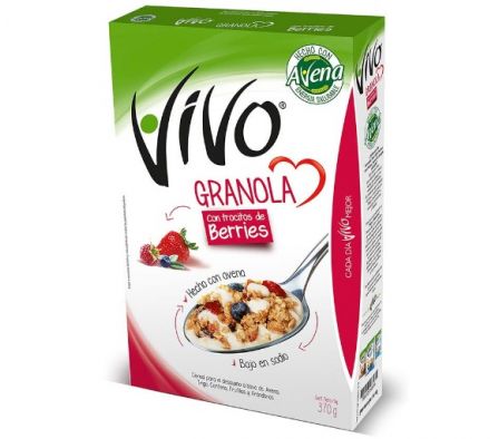 GRANOLA BERRIES VIVO 370G (12)