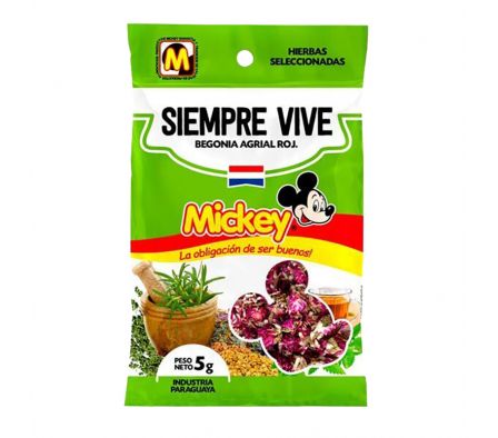 SIEMPRE VIVE MICKEY  5G (10)