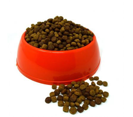 ALIMENTO P/PERRO CACHORR CA/PO/VE/LE DOGUI XKG(21)