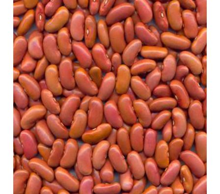 POROTO PEKY C/CASCARA X KILO,