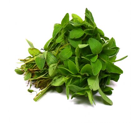 OREGANO X UNIDAD(12)