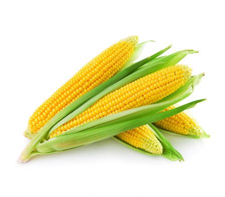 CHOCLO C/ ESPIGA X PAQ